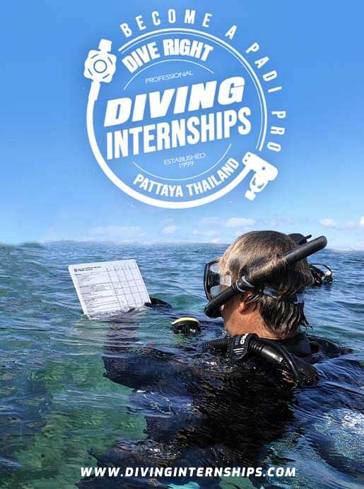 Best PADI Pro Diving Internships in Thailand