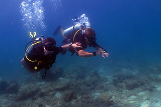 Navigation Diving PADI Specialty Course