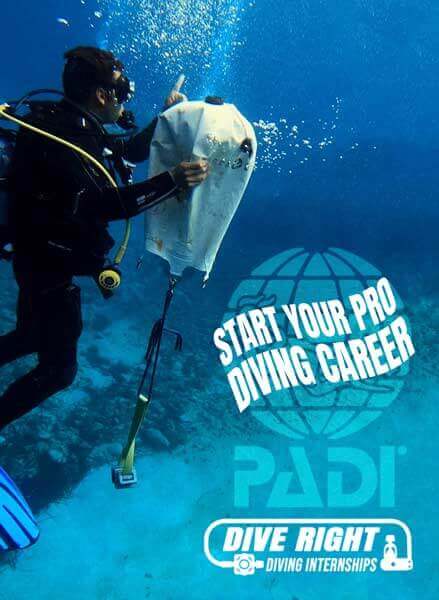 Start Your Pro Diving Career Thailand