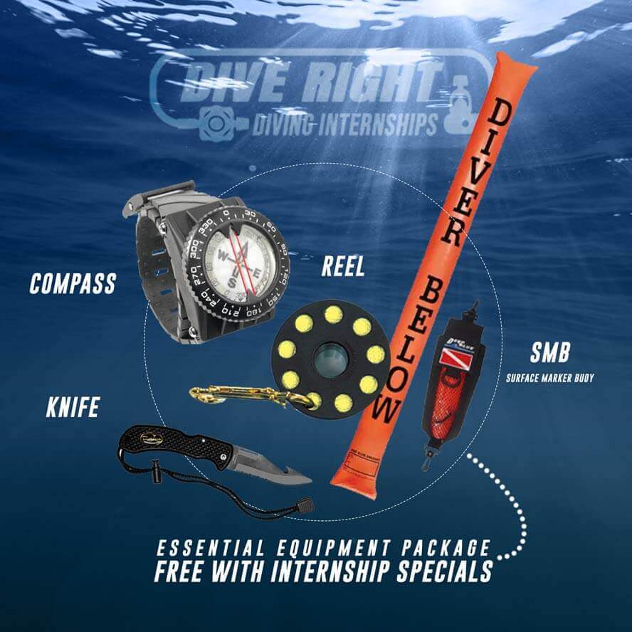 Essential pro dive equipment package